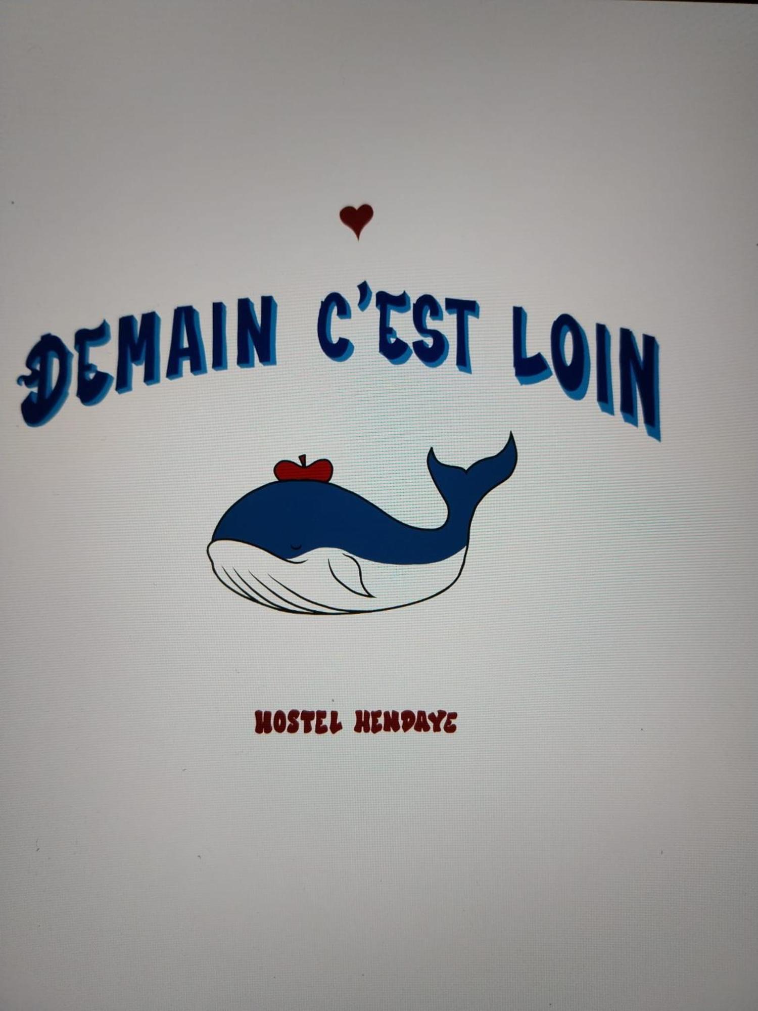 Hostel Demain C'Est Loin Hendaye Extérieur photo